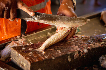 hands treating with knife and cleaning freshly caught fish © Laíne Paiva