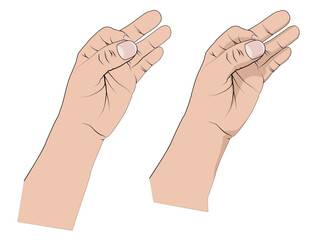 Colored Vector Human Hand Illustrations Isolated on White Background. Flat Vector Illustration of Male Hands Gripping or Holding Something.