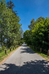 Fototapeta na wymiar Asphalt road across the dam of the Olšina pond lined with trees. Summer day with beautiful blue sky.