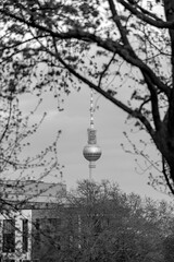 View on Berlin TV tower, black and white image.