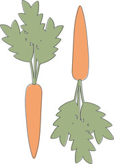 Carrot Vintage Look - Vector Line Art - Food Illustration	