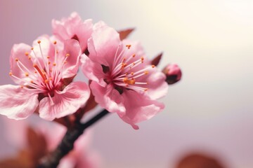 Flawless pink cherry blossom created with AI. Generative AI
