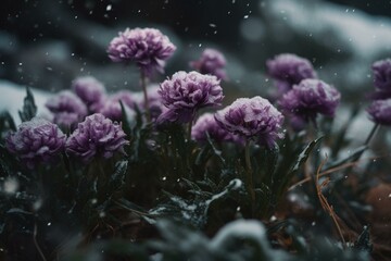 Fototapeta na wymiar Purple blooms under snow. Generative AI