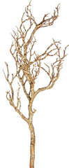 Fototapeta premium decorative artificial branch with transparent png background 