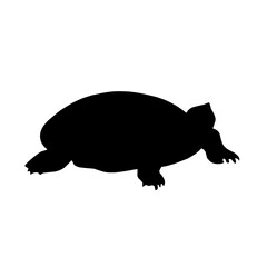 Turtle Vector Silhouette