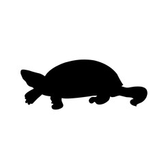 Turtle Vector Silhouette