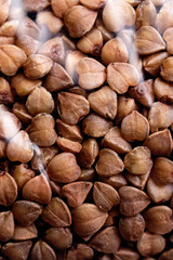 Buckwheat groats close up, background or texture