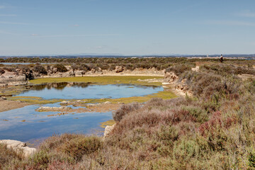 Les salins de Villeroy à Sète dans le département de l'Hérault - Région Occitanie