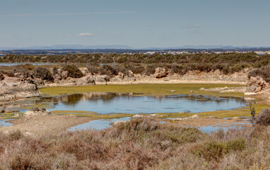 Les salins de Villeroy à Sète dans le département de l'Hérault - Région Occitanie