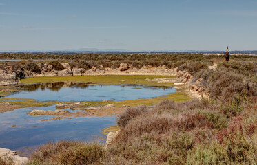 Les salins de Villeroy à Sète dans le département de l'Hérault - Région Occitanie