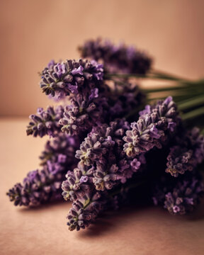 Bouquet of lavender flowers on a beige background. 