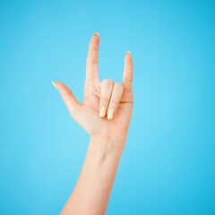 Party on my people. Studio shot of an unrecognisable woman making a horn sign against a blue background.