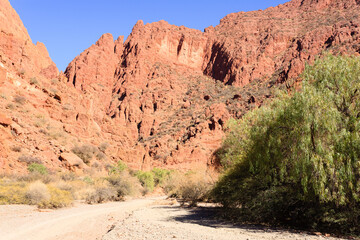 Bolivian canyon near Tupiza,Bolivia