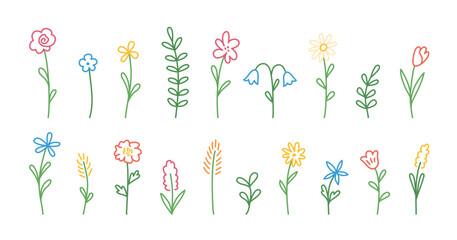 Fototapeta na wymiar Summer set of flowers, leaves, branches, herbs, hand draw. Spring and summer collection. Vector flowers isolated on a white background. Suitable for postcards, banners, wedding invitations.