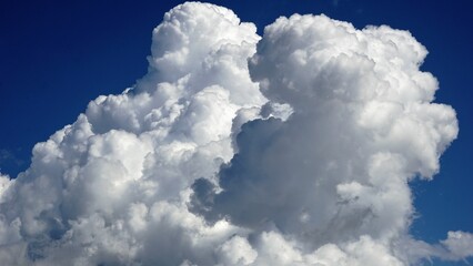 white cumulus clouds as a background