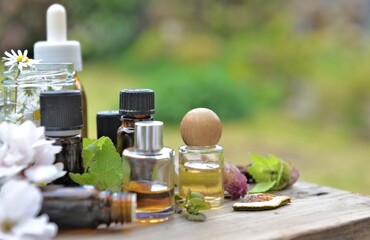 bottles of essential oil with plant and flower  on a wooden table in garden