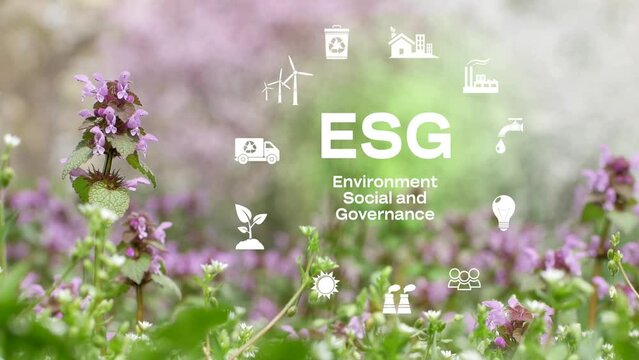Human hand presses the ESG icon on the touchscreen.ESG concept. Investment. Environmental technology. Green nature background.ESG digital icons