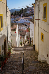 Castelo de Vide cobbled street view from the stairs
