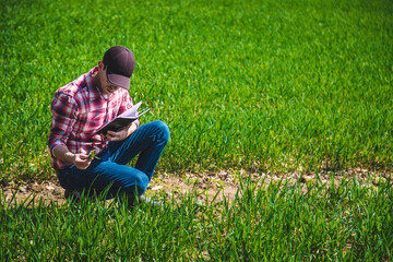 A man farmer checks how wheat grows in the field. Selective focus.