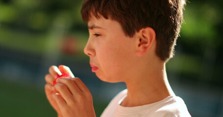 Child eating fruit outdoors. Young boy eats healthy snack outside in sunlight
