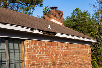 Fascia board and roof damaged from lack of maintenance.