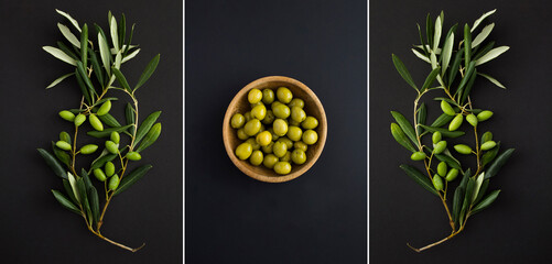 Collage. Olive in the bowl and branch with green olives on the black background. Close-up.