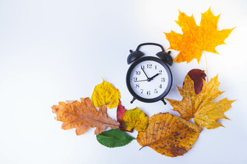 Alarm clock on white background and autumn leaves of different colors.
