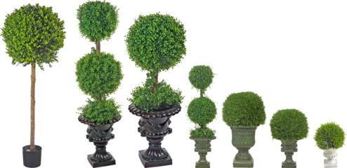 Manicured decorative artificial tree with transparent png background