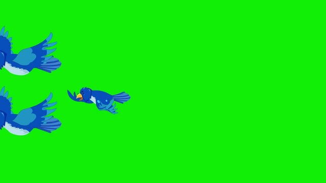 2d cartoon bird flying frame by frame animation 4k screen green