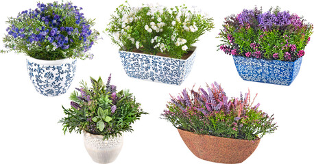 Artificial plant with flowers in Pot with transparent png background