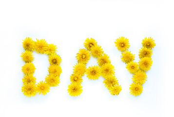 The inscription day from dandelions on a white background.