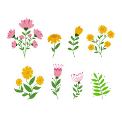 Flower collection with leaves, flower bouquets. Vector flowers. Spring art print with botanical elements