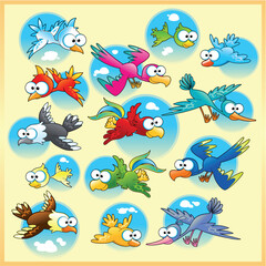 Family of birds. Funny cartoon and vector characters with background