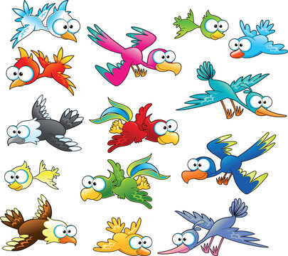 Family of birds. Funny cartoon and vector characters