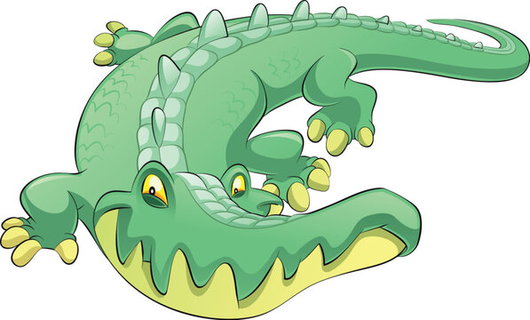 Crocodile, vector and cartoon character