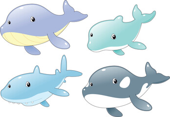 Obraz premium Ocean Fish Family: Dolphin, Shark, Whale and Killer Whale, cartoon and vector characters