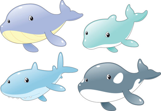 Ocean Fish Family: Dolphin, Shark, Whale and Killer Whale, cartoon and vector characters