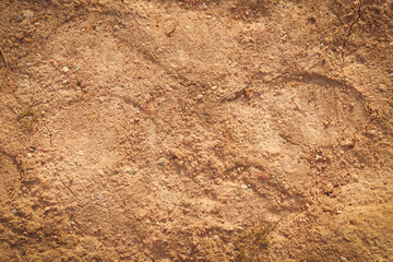 The texture of the sand. Sand background