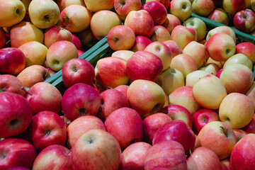 lots of red apples in boxes, shot in close-up