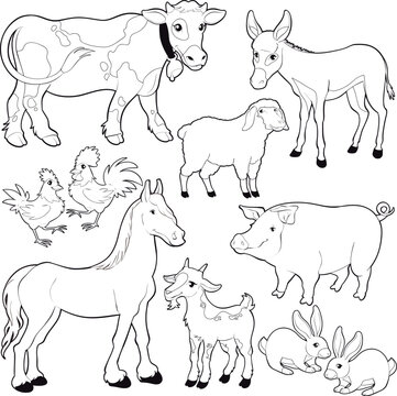 Farm animals. Vector and cartoon isolated black/white characters.