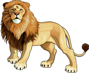 Lion king. Vector isolated animal.