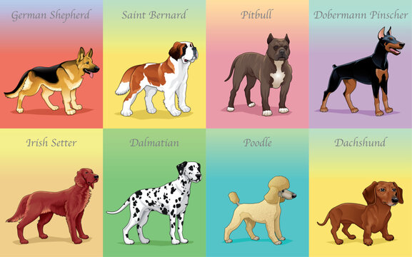 Groups of dog. Vector illustration