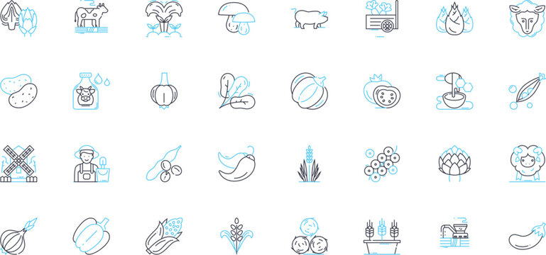 Ranch linear icons set. Horses, Trails, Cattle, Outdoors, Rodeo, Cowboy, Buckaroo line vector and concept signs. Stables,Pasture,Western outline illustrations