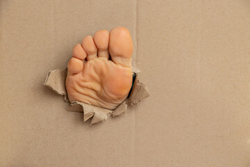 A woman's foot crawled out of a hole in cardboard, one female foot