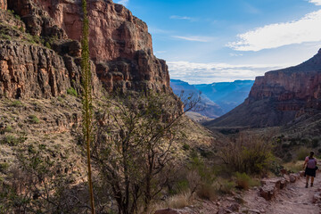 Rear view of woman with backpack hiking along Bright Angel trail with panoramic aerial overlook of South Rim of Grand Canyon National Park, Arizona, USA, America. Amazing vista after sunrise in summer