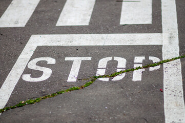 Stop sign on the asphalt road before the pedestrian crossing