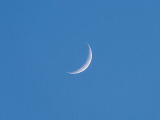 Young moon, moon in the sky. - obrazy, fototapety, plakaty