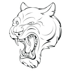 Panther. Vector illustration of a sketch angry wild animal. Undomestic big cat. Leopard or jaguar