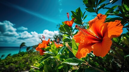 summer mood background wallpaper with copy space, orange hibiscus flower bush with seascape nature view, Generative Ai - obrazy, fototapety, plakaty