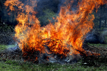 fuego y llamas de desbroce controlado en el monte para evitar incendios
